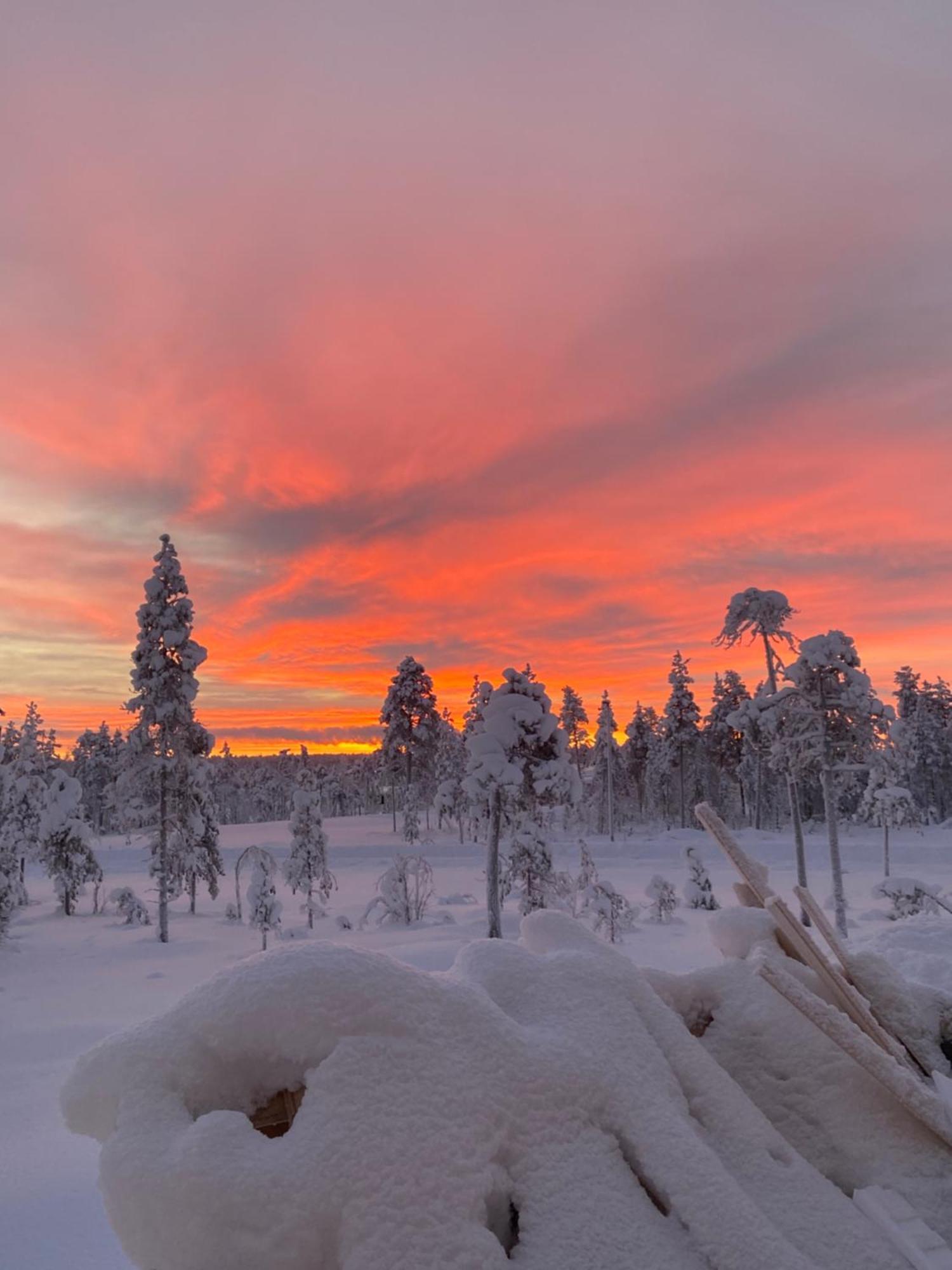 Arctic Moon Villa Rovaniemi Exterior photo